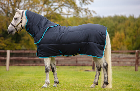 Stable Rugs
